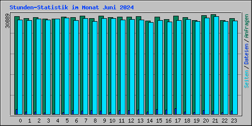 Stunden-Statistik im Monat Juni 2024