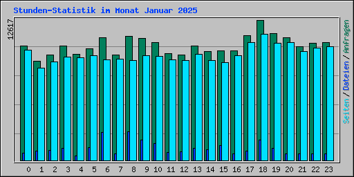 Stunden-Statistik im Monat Januar 2025