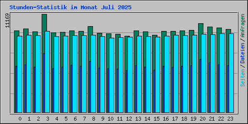 Stunden-Statistik im Monat Juli 2025