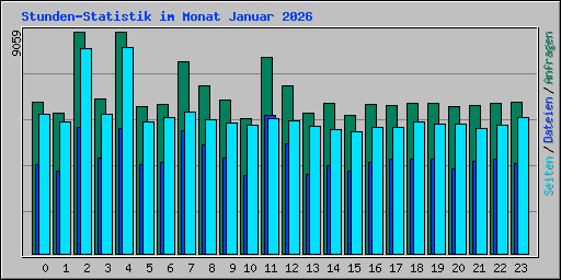 Stunden-Statistik im Monat Januar 2026