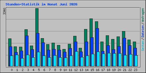 Stunden-Statistik im Monat Juni 2026